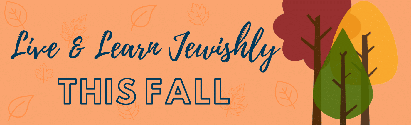 Fall banner for CJEL