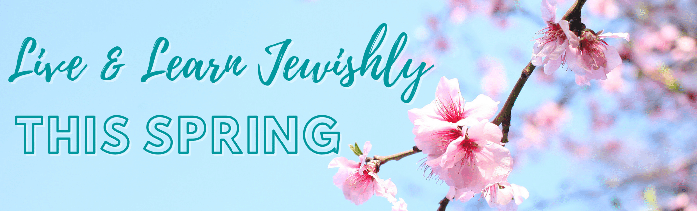 Spring banner for CJEL