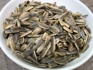 What is on our Seder plates this year? - sunflower seeds
